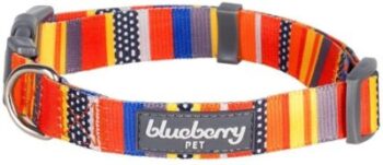 Hundehalsband - Blueberry Pet 6
