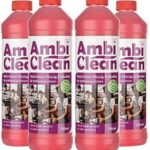 AmbiClean - Set mit 4 Flaschen flüssigem Entkalker 11