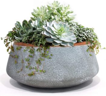 Große Keramik-Blumentöpfe für sukkulente Pflanzen - Für drinnen und draußen - Mit Drainage - 20,3 cm - Grau 32