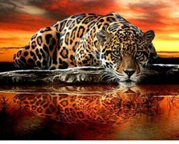 Qingdewan Tiger Sunset - 1000 Stück 16