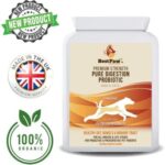 Probiotikum für Hunde Best Paw Nutrition 13