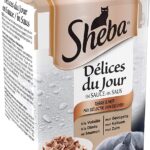 Sheba Köstlichkeiten des Tages 11
