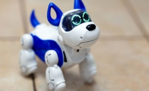 comparatif chien robot