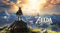 The Legend of Zelda: Breath of the Wild 84