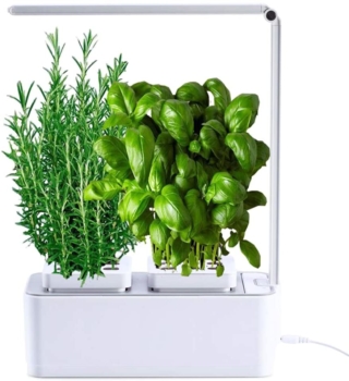 Hydroponischer Indoor-Gemüsegarten AmzWOW Clizia Smart Garden 33