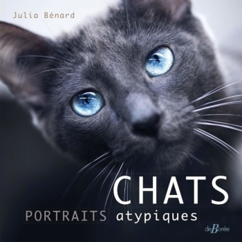 Katzen: Atypische Porträts 6
