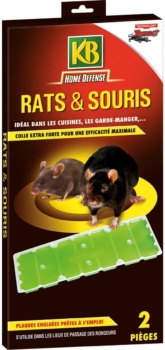 2er-Set Leimfallen für Ratten und Mäuse KB 5