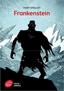 Frankenstein (Taschenbuch) 11