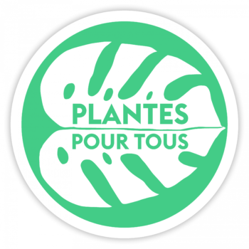 Plante Pour Tous - Das Gartencenter zum kleinen Preis 6
